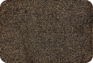 cotton royal pruun