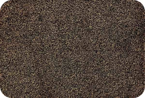 cotton royal pruun