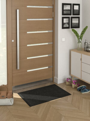 tiger antrasiitti ovi